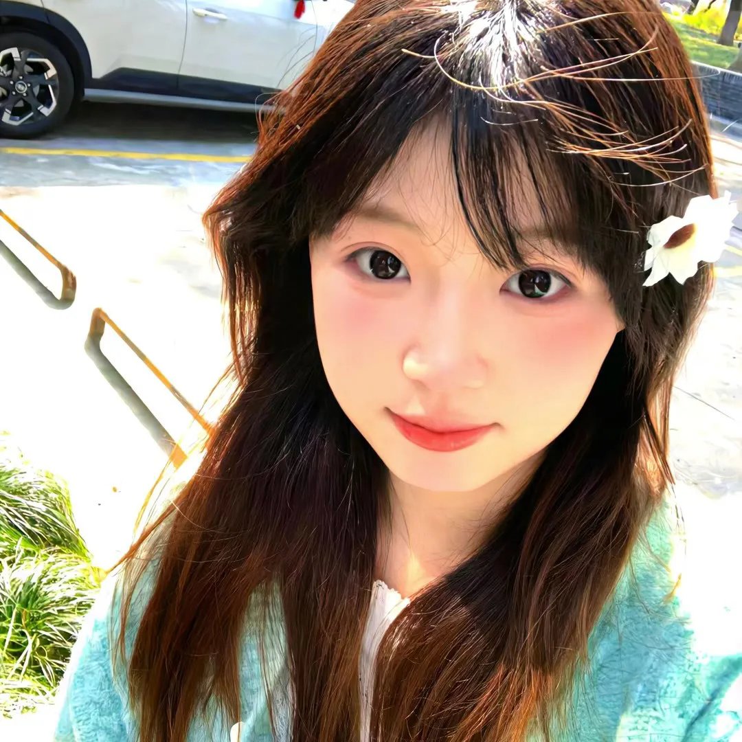 青云志